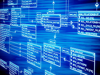 Leverage your data